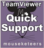 quick support teamviewer